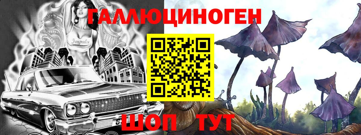 Кушва  Галлюциногенные грибы Psilocybine cubensis  Псилоцибиновые грибы MAGIC MUSHROOMS  Вход с VPN 
